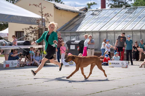 Florinka Olomouc — Krajská výstava – 7. června 2026