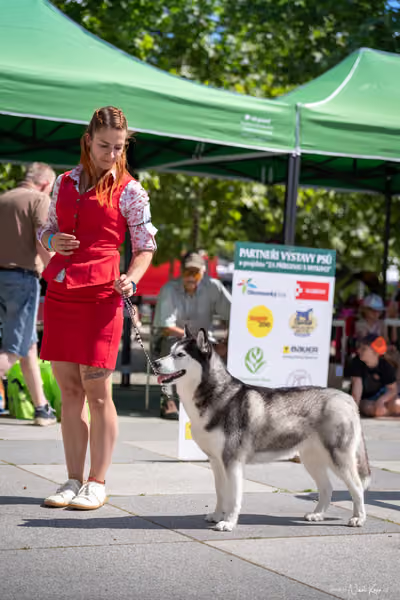 Florinka Olomouc — Krajská výstava – 7. června 2026