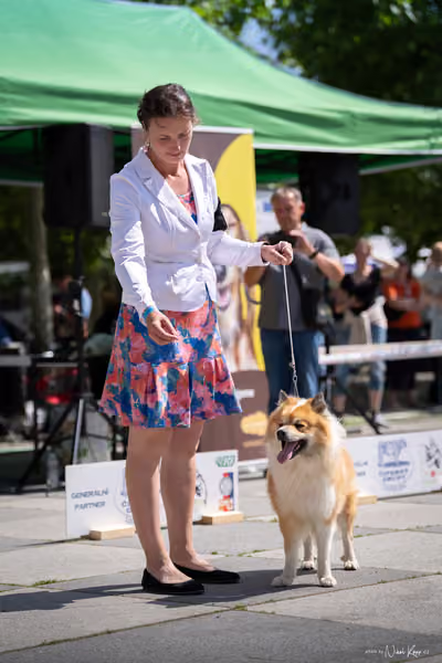 Florinka Olomouc — Krajská výstava – 7. června 2026