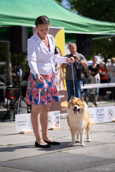 Florinka Olomouc — Krajská výstava – 7. června 2026