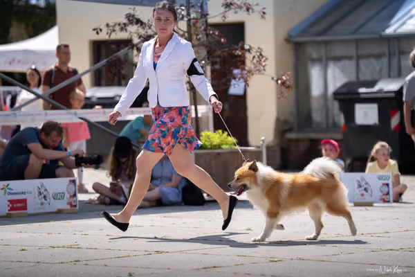 Florinka Olomouc — Krajská výstava – 7. června 2026