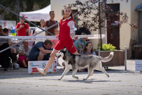 Florinka Olomouc — Krajská výstava – 7. června 2026