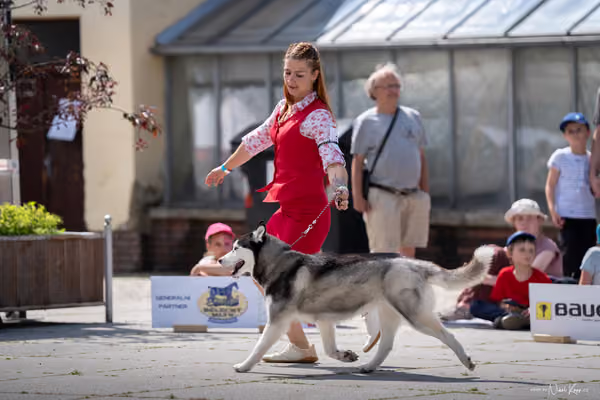Florinka Olomouc — Krajská výstava – 7. června 2026
