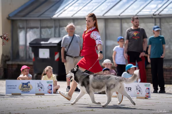 Florinka Olomouc — Krajská výstava – 7. června 2026