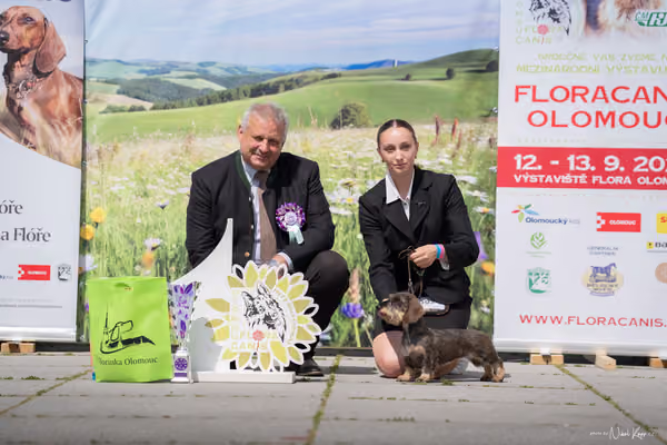 Florinka Olomouc — Krajská výstava – 7. června 2026