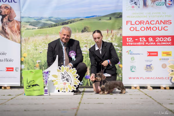Florinka Olomouc — Krajská výstava – 7. června 2026