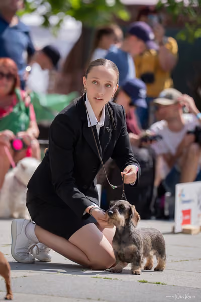 Florinka Olomouc — Krajská výstava – 7. června 2026