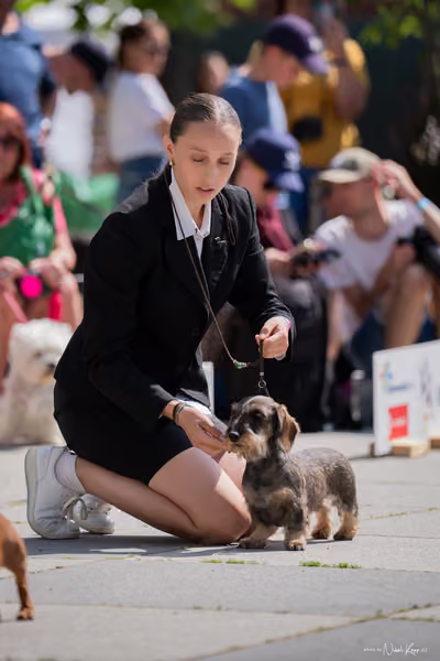 Florinka Olomouc — Krajská výstava – 7. června 2026