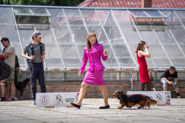 Florinka Olomouc — Krajská výstava – 7. června 2026