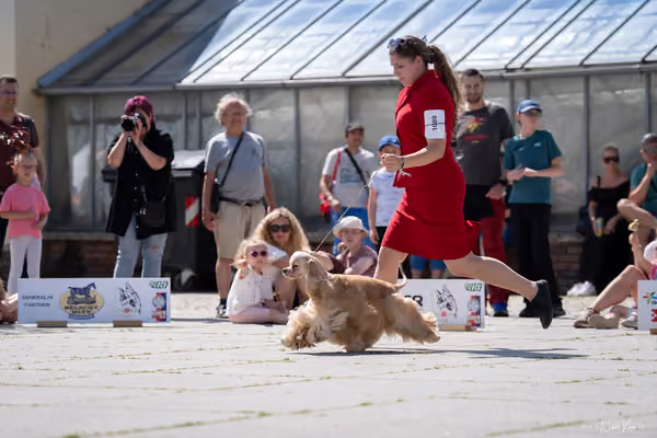 Florinka Olomouc — Krajská výstava – 7. června 2026