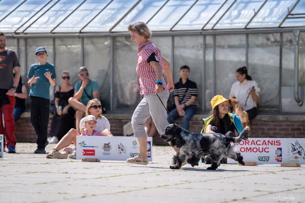 Florinka Olomouc — Krajská výstava – 7. června 2026