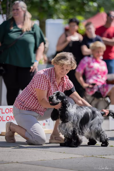 Florinka Olomouc — Krajská výstava – 7. června 2026