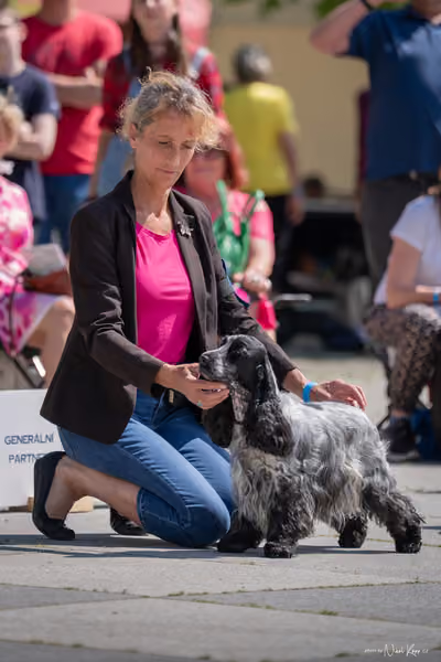 Florinka Olomouc — Krajská výstava – 7. června 2026