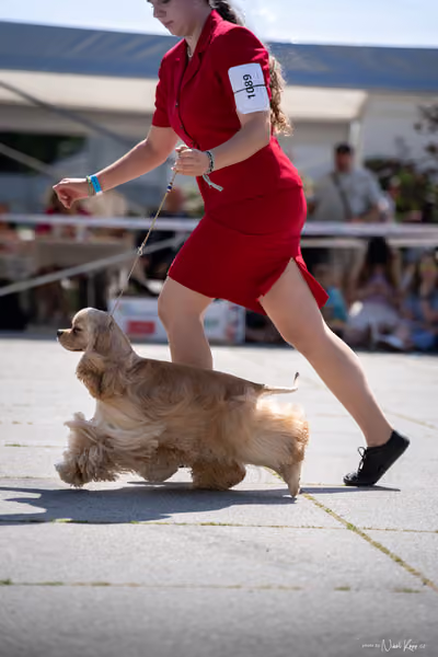 Florinka Olomouc — Krajská výstava – 7. června 2026