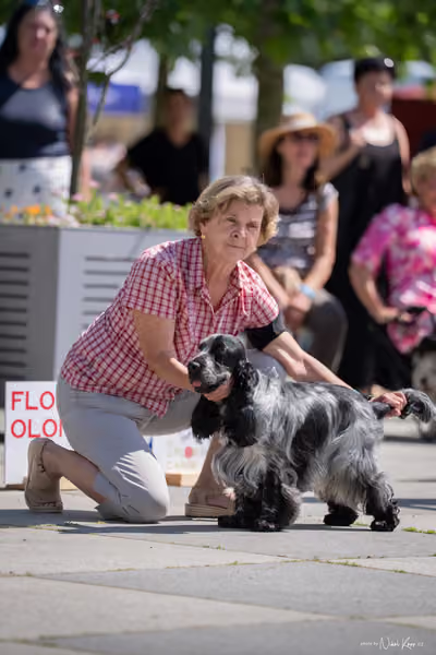 Florinka Olomouc — Krajská výstava – 7. června 2026