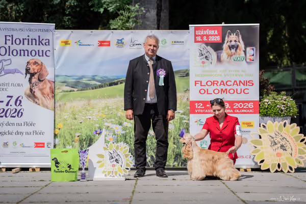 Florinka Olomouc — Krajská výstava – 7. června 2026