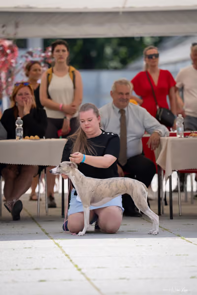 Florinka Olomouc — Krajská výstava – BIS