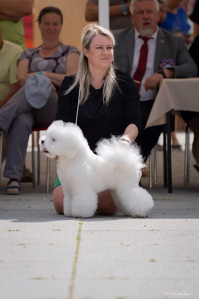 Florinka Olomouc — Krajská výstava – BIS