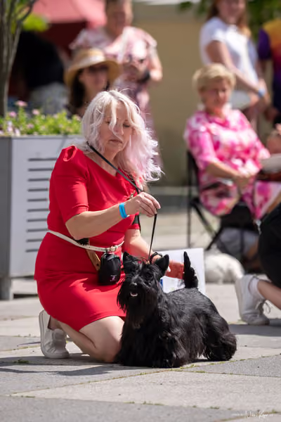 Florinka Olomouc — Krajská výstava – BIS