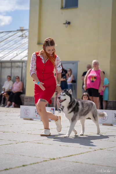 Florinka Olomouc — Krajská výstava – BIS