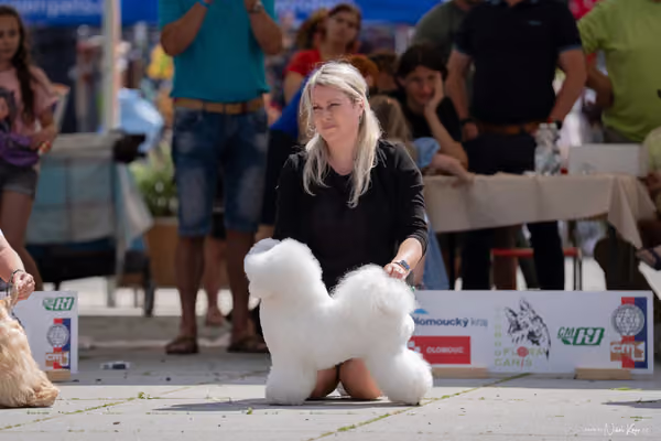 Florinka Olomouc — Krajská výstava – BIS