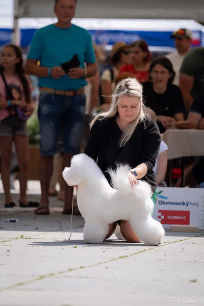 Florinka Olomouc — Krajská výstava – BIS