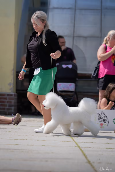 Florinka Olomouc — Krajská výstava – BIS