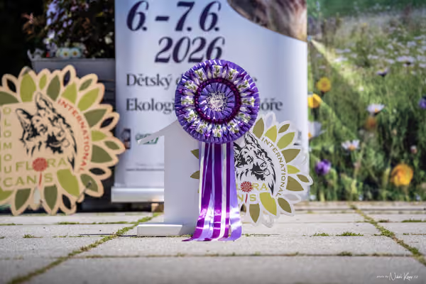 Florinka Olomouc — Florinka - sobota – 6. června 2026