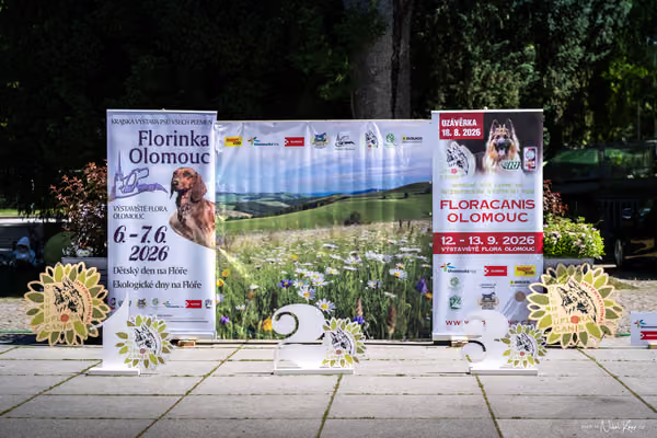 Florinka - sobota — DSC04304