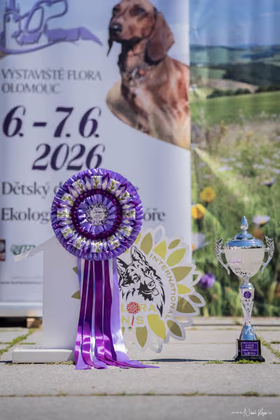 Florinka - sobota — DSC04327