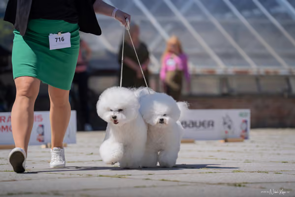 Florinka Olomouc — Florinka - sobota – 6. června 2026