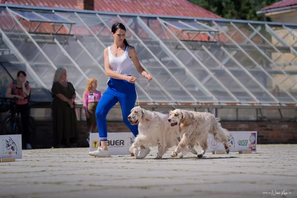 Florinka Olomouc — Florinka - sobota – 6. června 2026