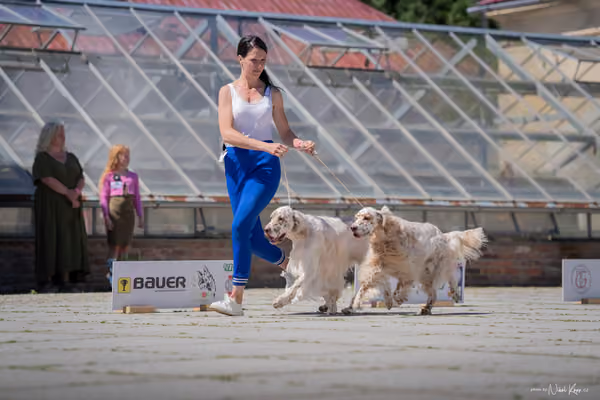 Florinka Olomouc — Florinka - sobota – 6. června 2026