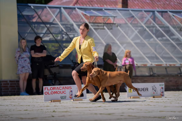 Florinka Olomouc — Florinka - sobota – 6. června 2026