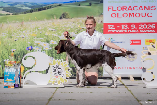 Florinka Olomouc — Florinka - sobota – 6. června 2026