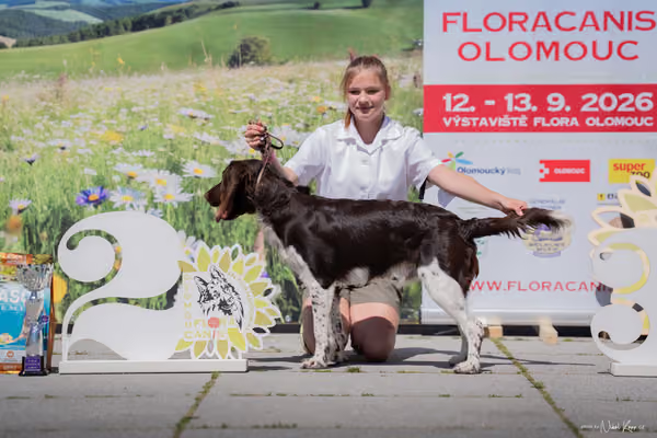 Florinka Olomouc — Florinka - sobota – 6. června 2026