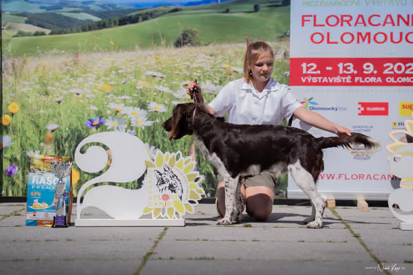 Florinka Olomouc — Florinka - sobota – 6. června 2026