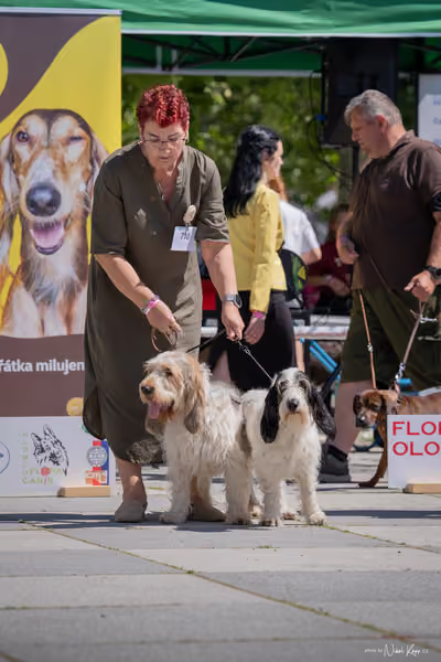 Florinka Olomouc — Florinka - sobota – 6. června 2026