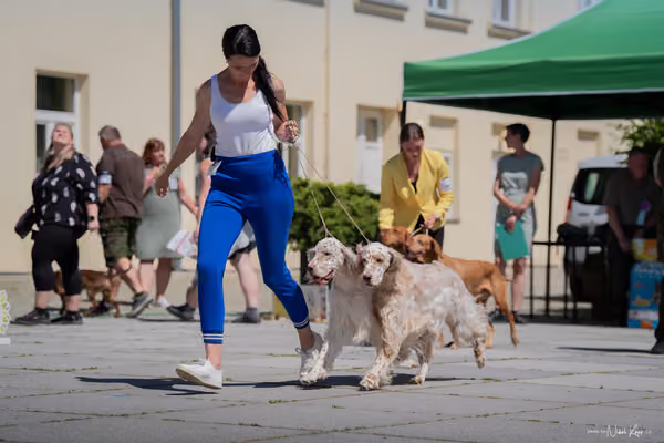 Florinka Olomouc — Florinka - sobota – 6. června 2026