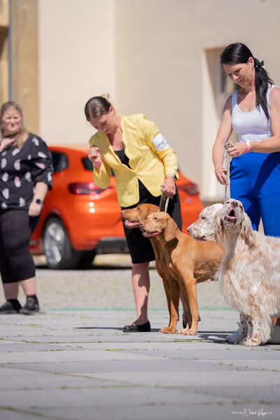 Florinka Olomouc — Florinka - sobota – 6. června 2026