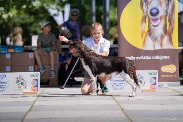 Florinka Olomouc — Florinka - sobota – 6. června 2026