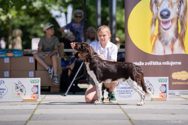 Florinka Olomouc — Florinka - sobota – 6. června 2026