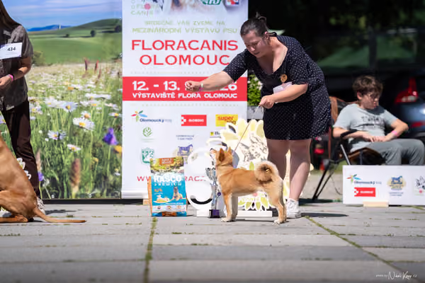Florinka Olomouc — Florinka - sobota – 6. června 2026