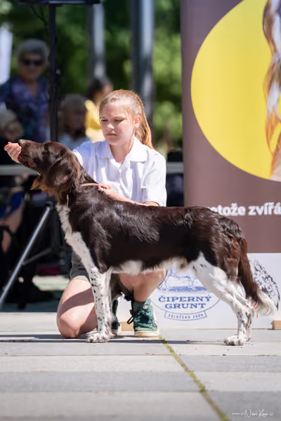Florinka Olomouc — Florinka - sobota – 6. června 2026