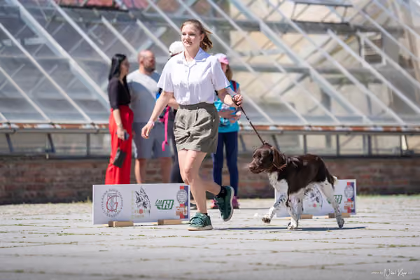Florinka Olomouc — Florinka - sobota – 6. června 2026