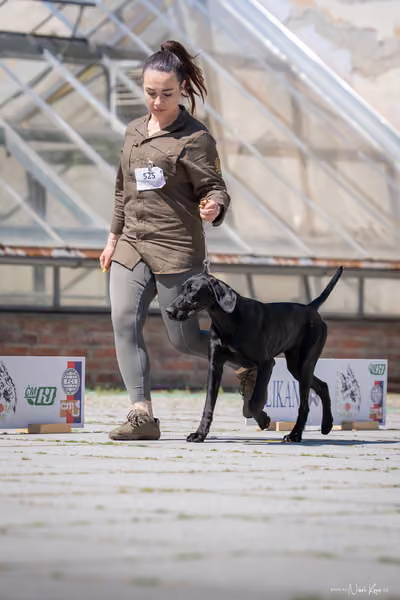 Florinka Olomouc — Florinka - sobota – 6. června 2026