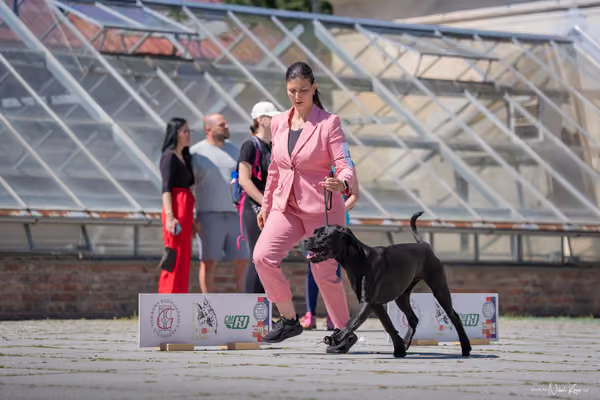 Florinka Olomouc — Florinka - sobota – 6. června 2026