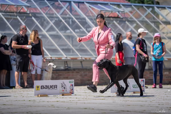 Florinka Olomouc — Florinka - sobota – 6. června 2026