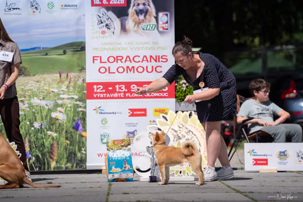 Florinka Olomouc — Florinka - sobota – 6. června 2026