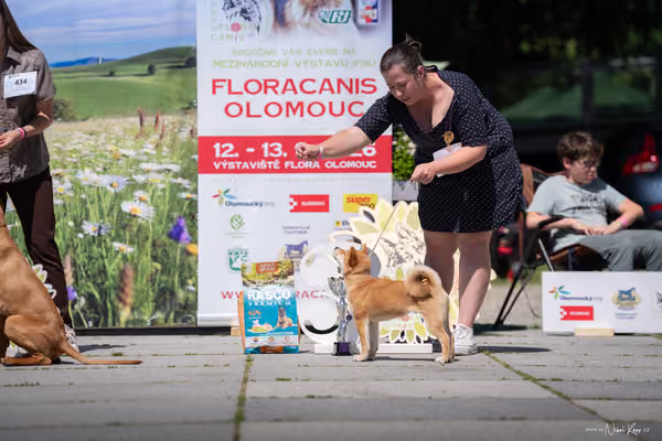 Florinka Olomouc — Florinka - sobota – 6. června 2026